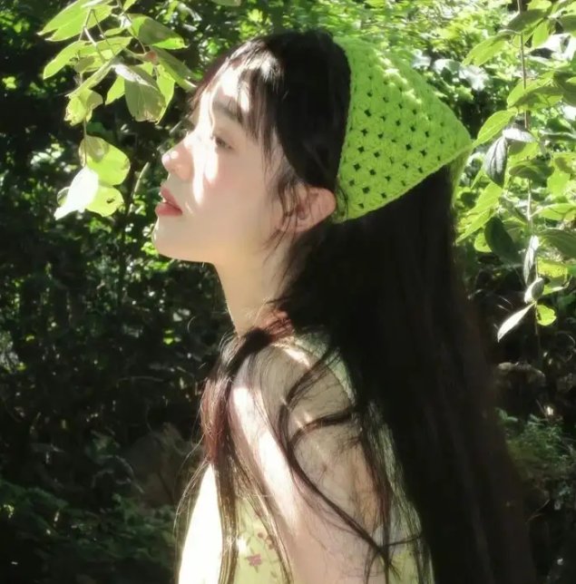 螳螂捕蝉